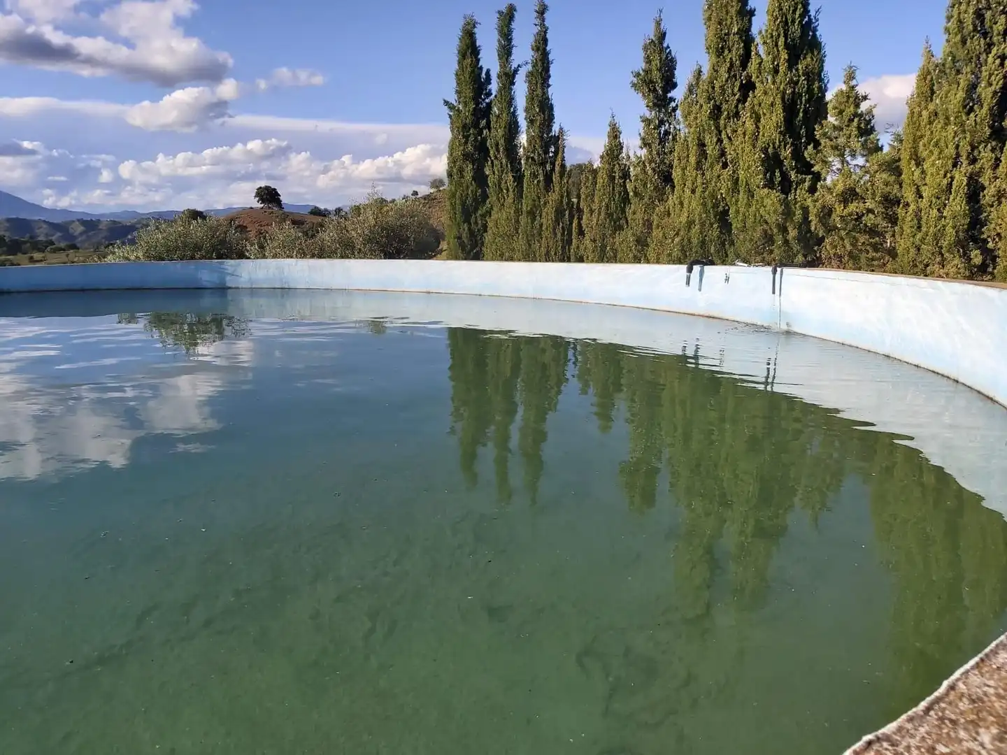 Piscina de Casa o chalet en venta en Coín con Aire acondicionado, Calefacción y Jardín privado
