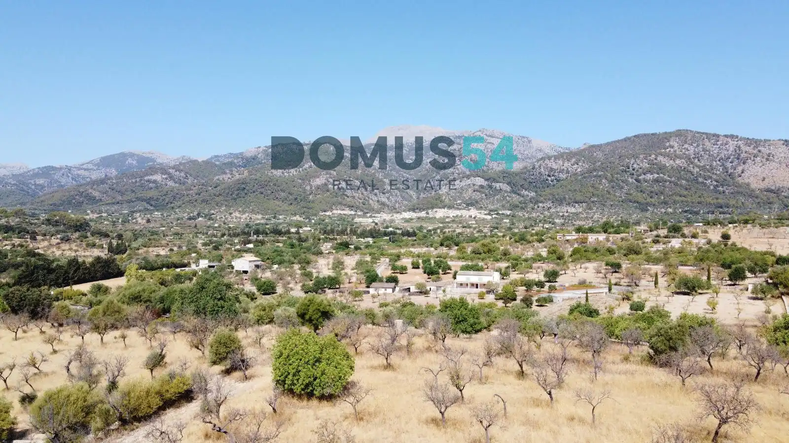 Land for sale in Selva