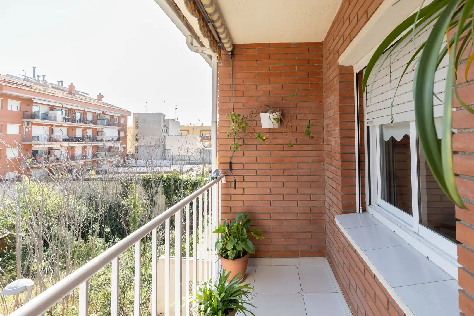 House with terrace for sale in Zona alta, imagen 18