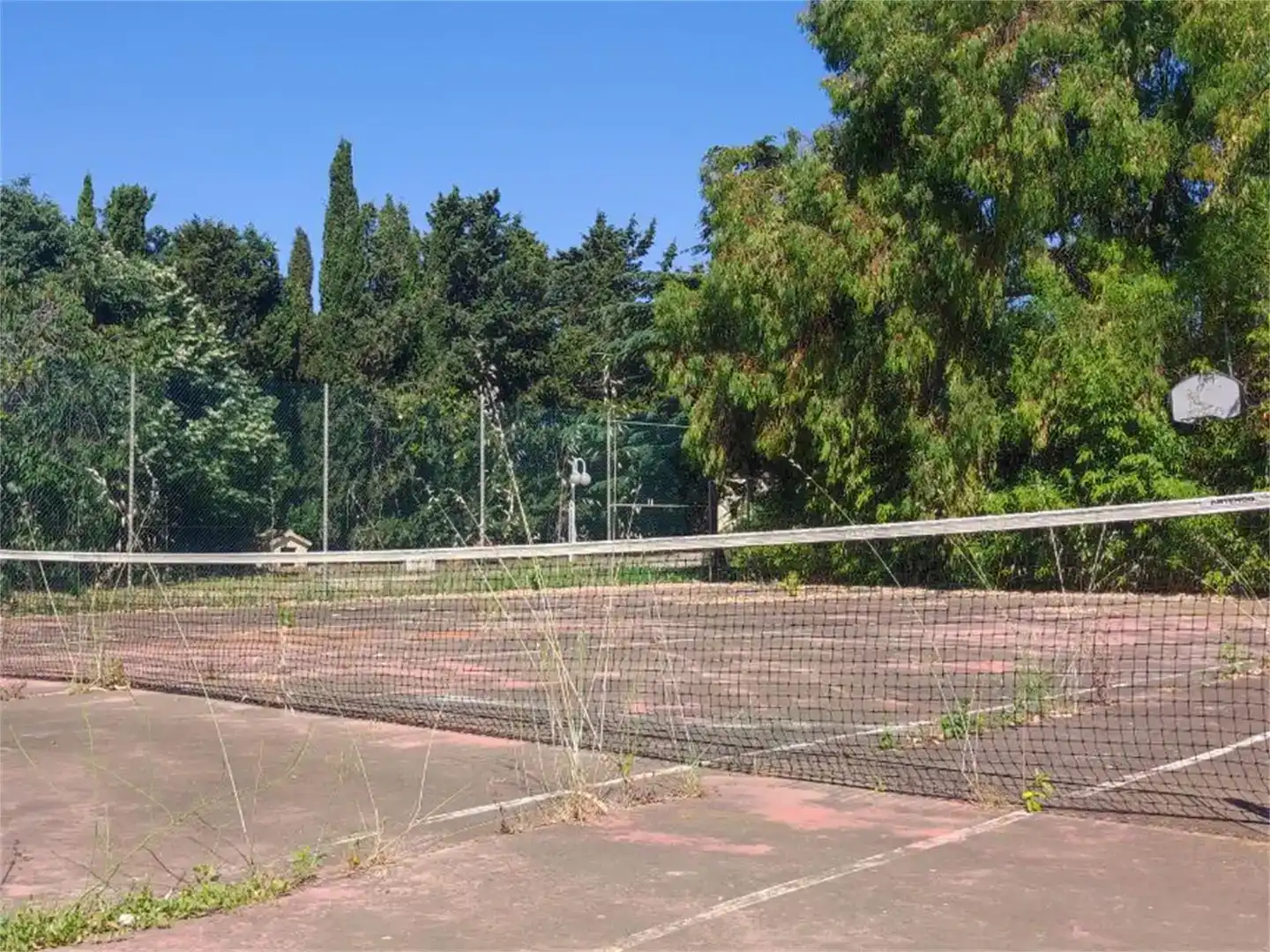 Jardí de Finca rústica en venda en Riudoms