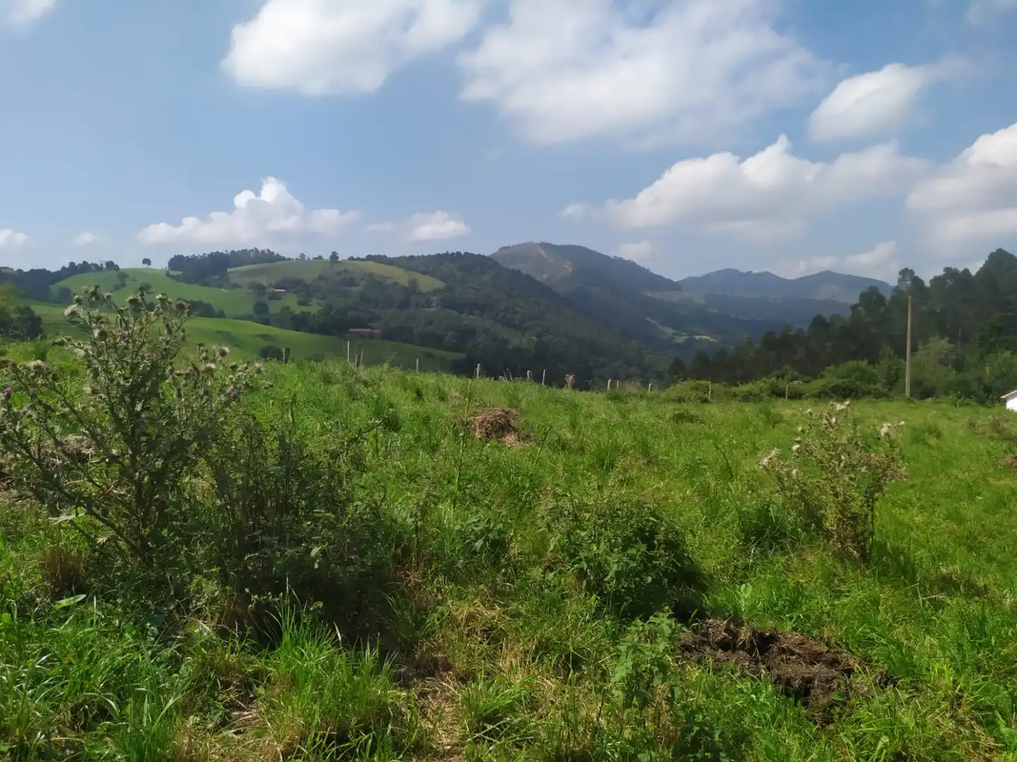 Terreni e lotti in vendita a Lloreda - EL TUZO, imagen 3