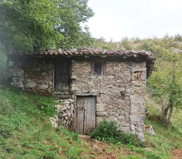 Vista exterior de Finca rústica en venda en Parres