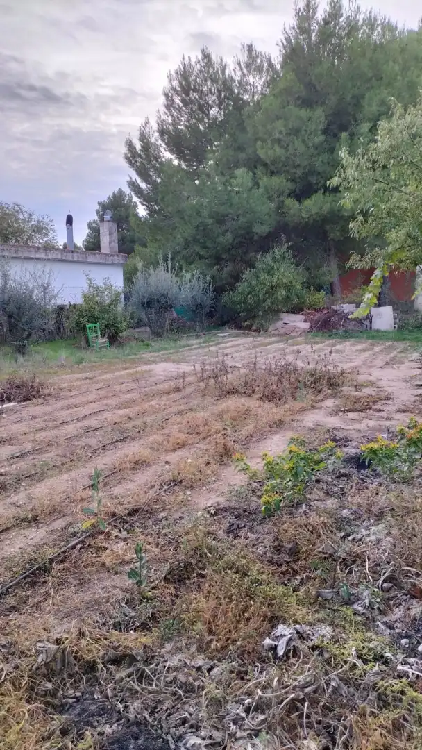 Xalet en venda a Pedanías - Extrarradio, imagen 19