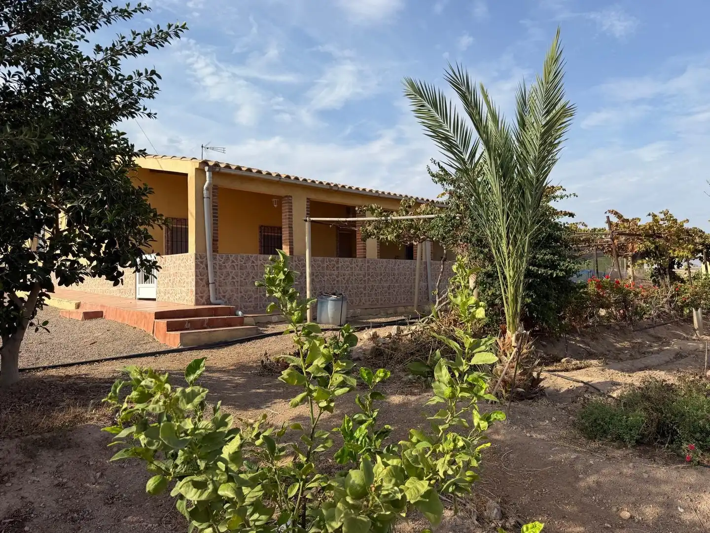 Außenansicht von Haus zum Verkauf in Pulpí pueblo