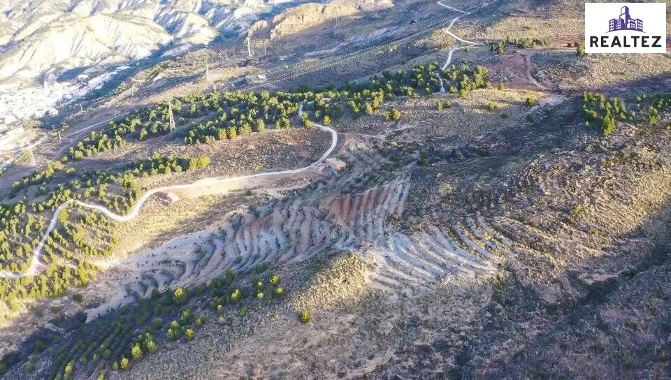 Terrain rustique à vendre à Alcolea, imagen 17