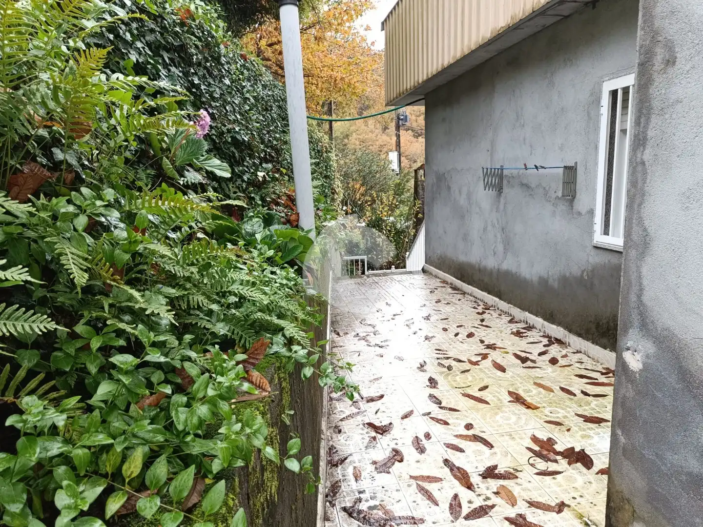House with garden for sale in Nogueira de Ramuín, imagen 8