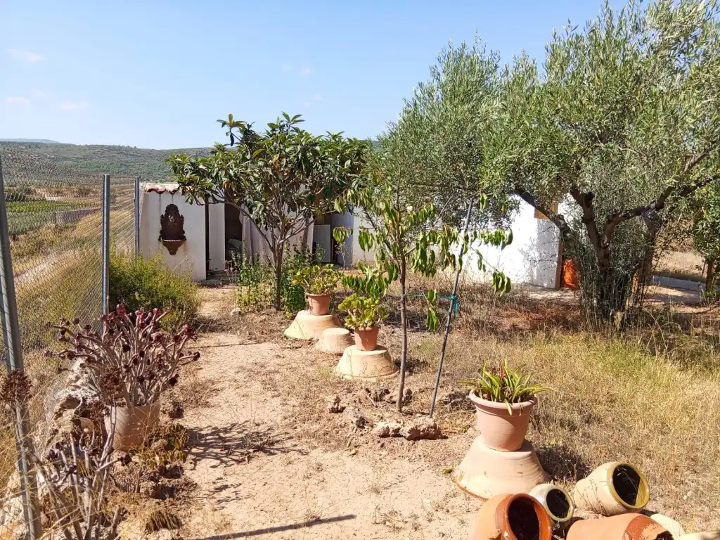 Garten von Country house zum Verkauf in Calles mit Privatgarten, Terrasse und Abstellraum