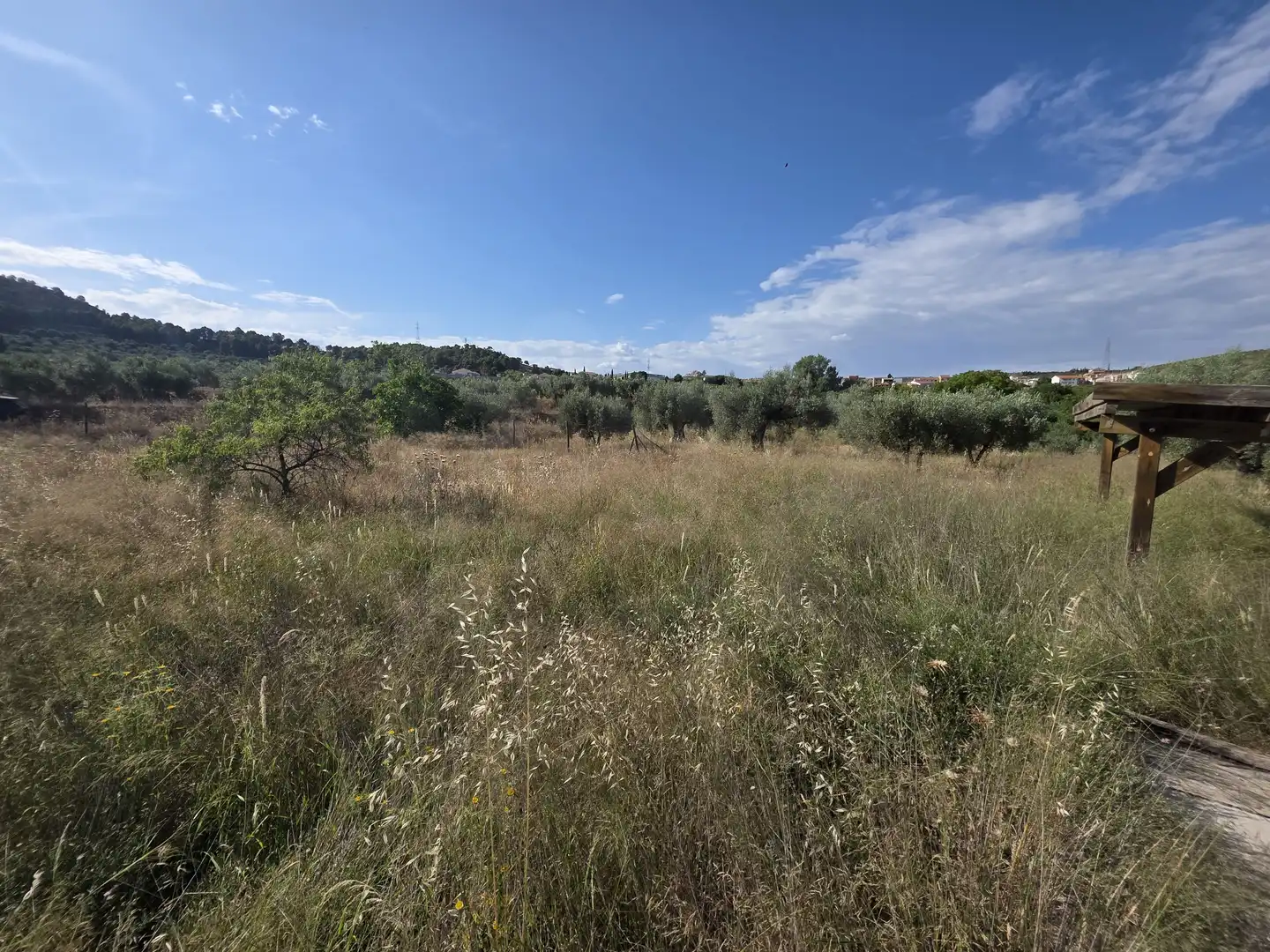 Terreno rustico in vendita a Socovos, imagen 4
