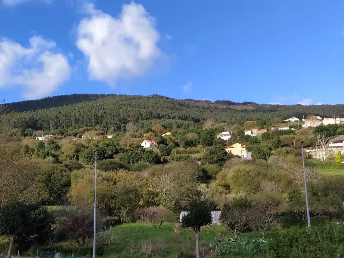 Xalet amb jardí en venda a Rúa Pérez Lugín 42, imagen 41