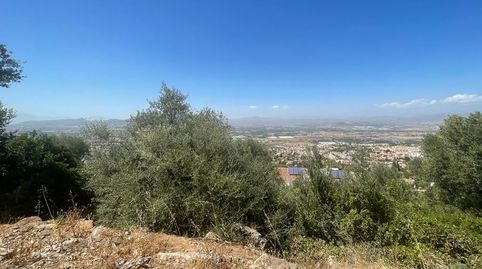 Foto 4 de Residencial en venta en Calle Lágrima, 39, Manantiales - Lagar - Cortijo, Alhaurín de la Torre