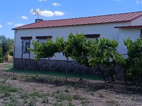 Vista exterior de Finca rústica en venta en La Haba  con Jardín privado, Parquet y Piscina
