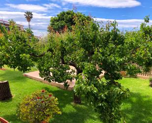 Jardí de Casa o xalet en venda en Benicarló amb Jardí privat, Terrassa i Piscina