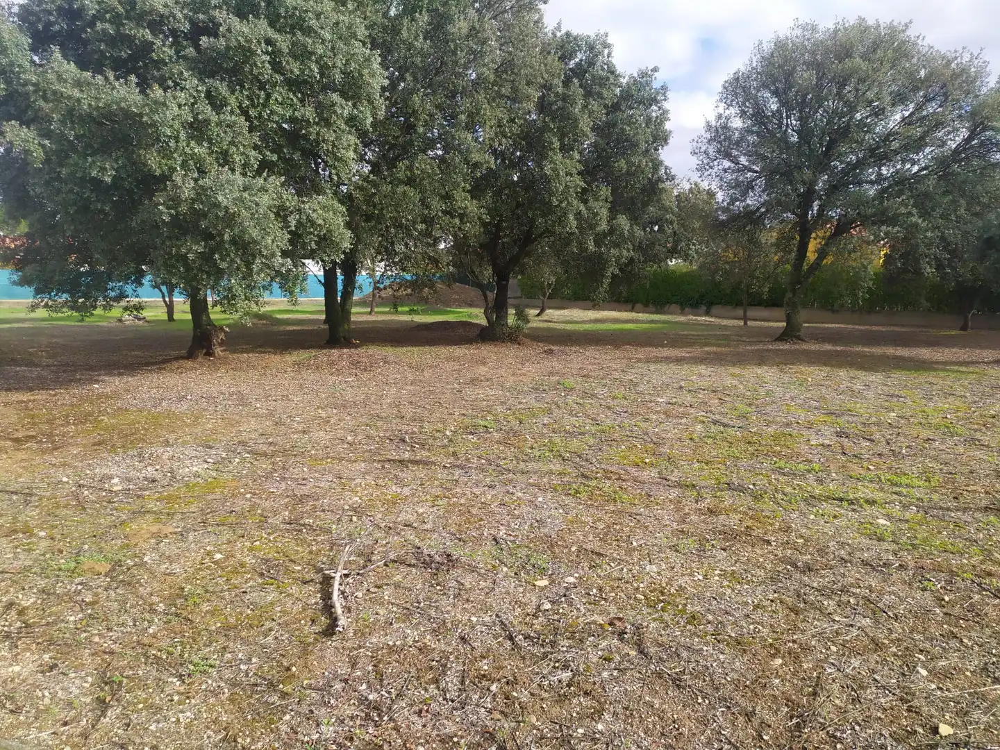Terreny residencial en venda a Florida de Liébana, imagen 6