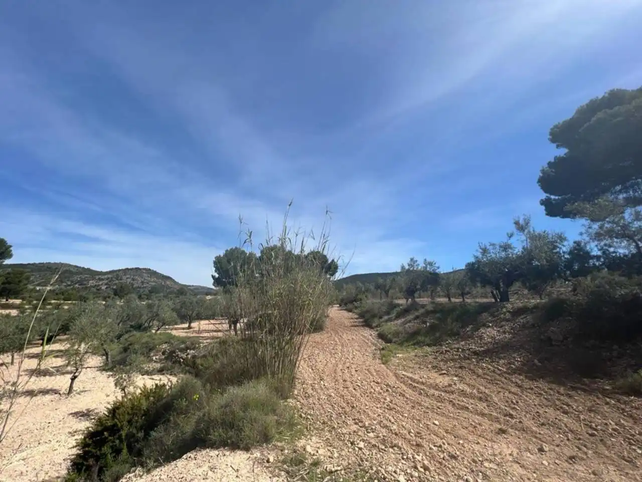 Chalet con jardín en venta en Calle Poligono, imagen 125