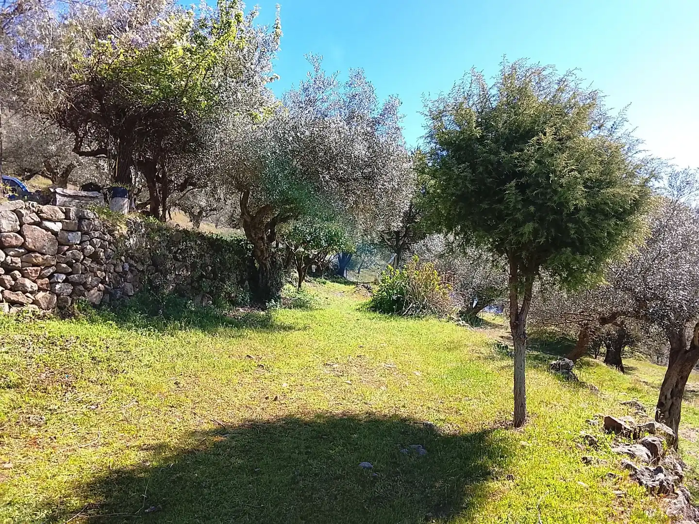Terreni e lotti in vendita a Candeleda, imagen 63