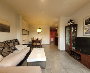 Sala d'estar de Dúplex en venda en Centelles amb Terrassa