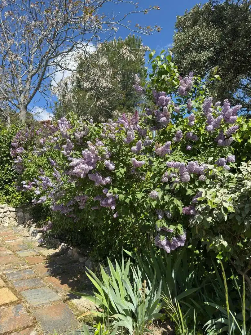 Garden of Flat for sale in Los Peñascales
