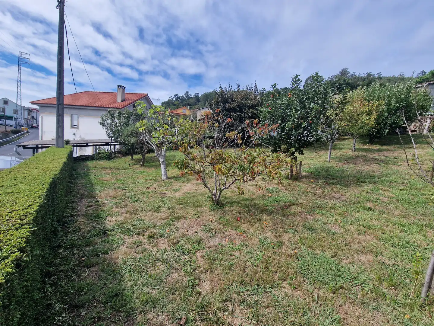 Terreno residencial en venta en Neda, imagen 9