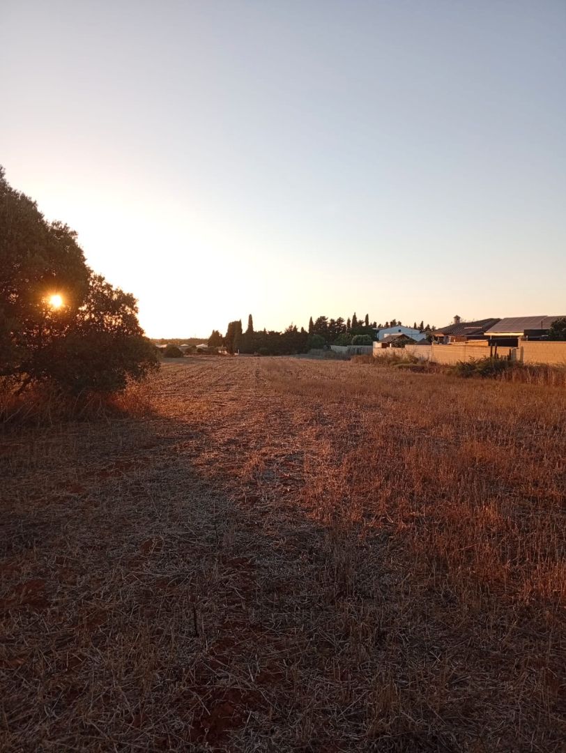 Grundstücke zum Verkauf in Conil de la Frontera