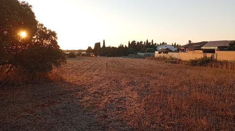 Foto 5 de Terreno en venta en Diseminado Pago Zorro, Roche, Conil de la Frontera