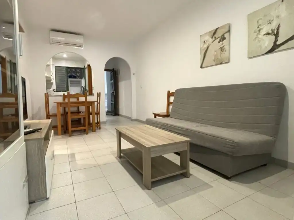 Living room of Apartments for sale in Vera  with Air Conditioner, Terrace and Furnished