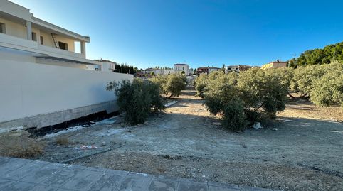 ESTUPENDO SOLAR ZONA CTRA JÓDAR, immagine 3