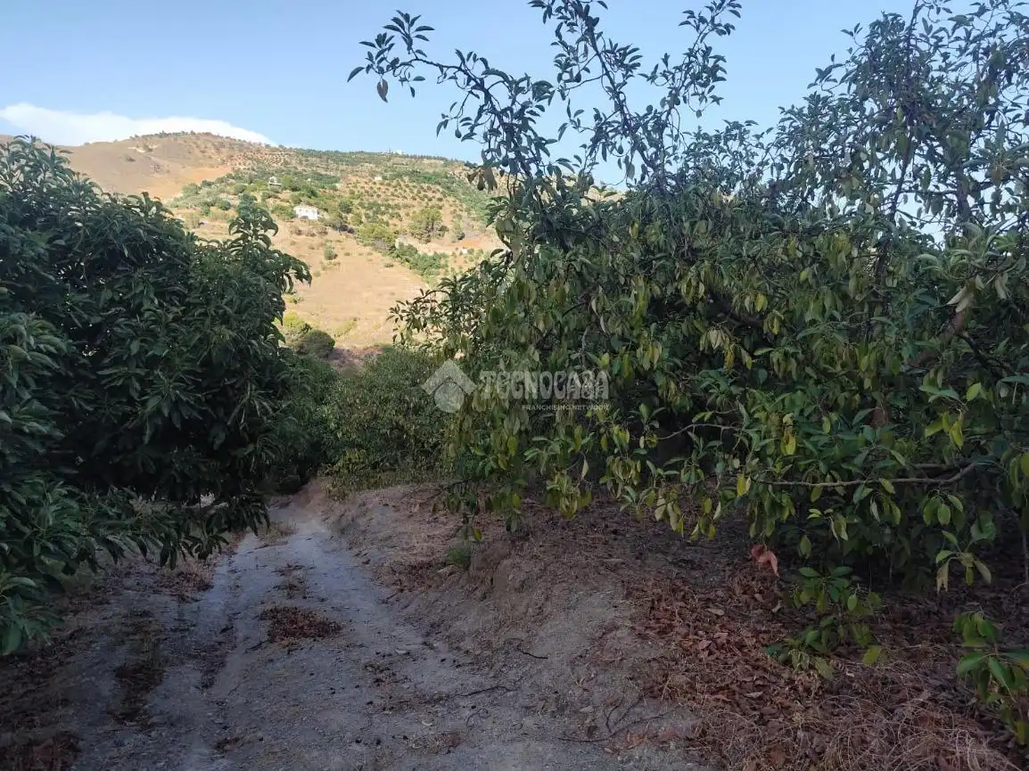 Terreno rustico in vendita a Los Guájares, imagen 17