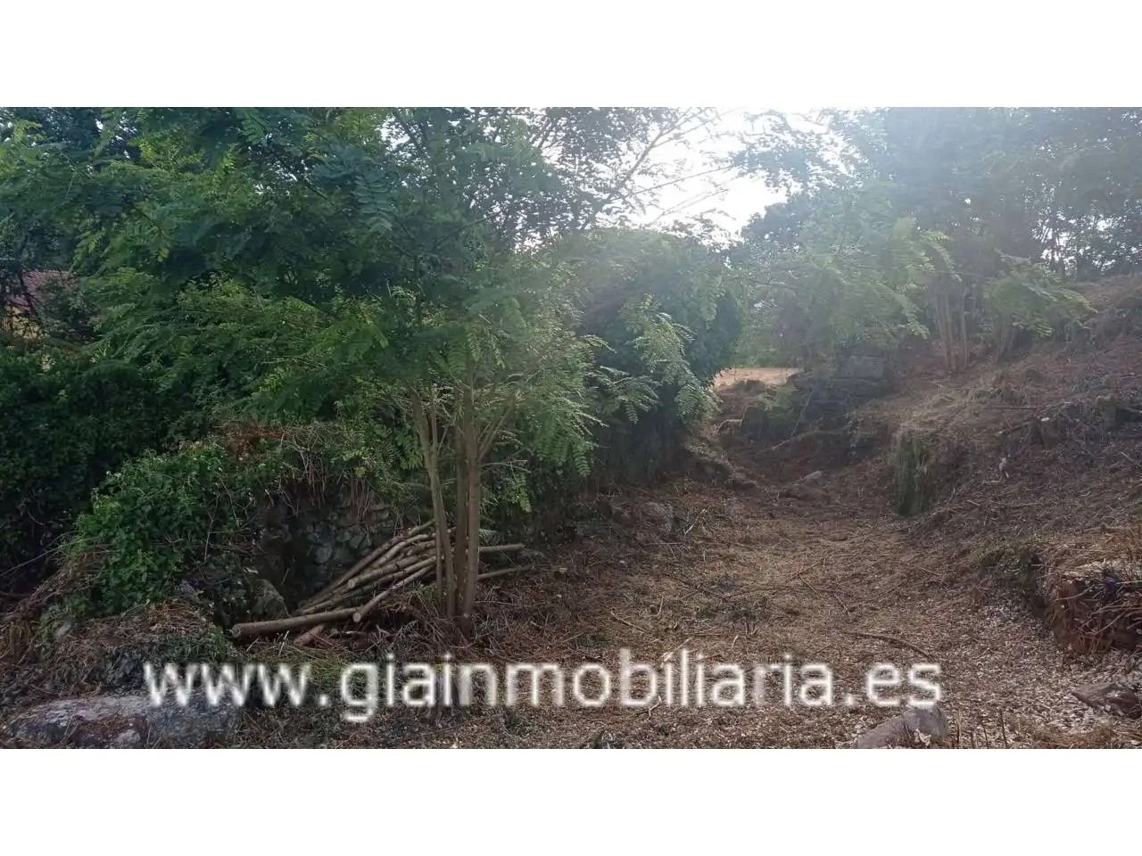 Terrenys i solars en venda a Calle Arcos, imagen 6