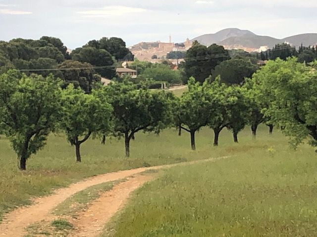 Außenansicht von Country house zum verkauf in Hellín