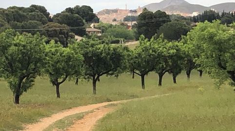 Foto 3 von Residential zum Verkauf in Hellín, Albacete