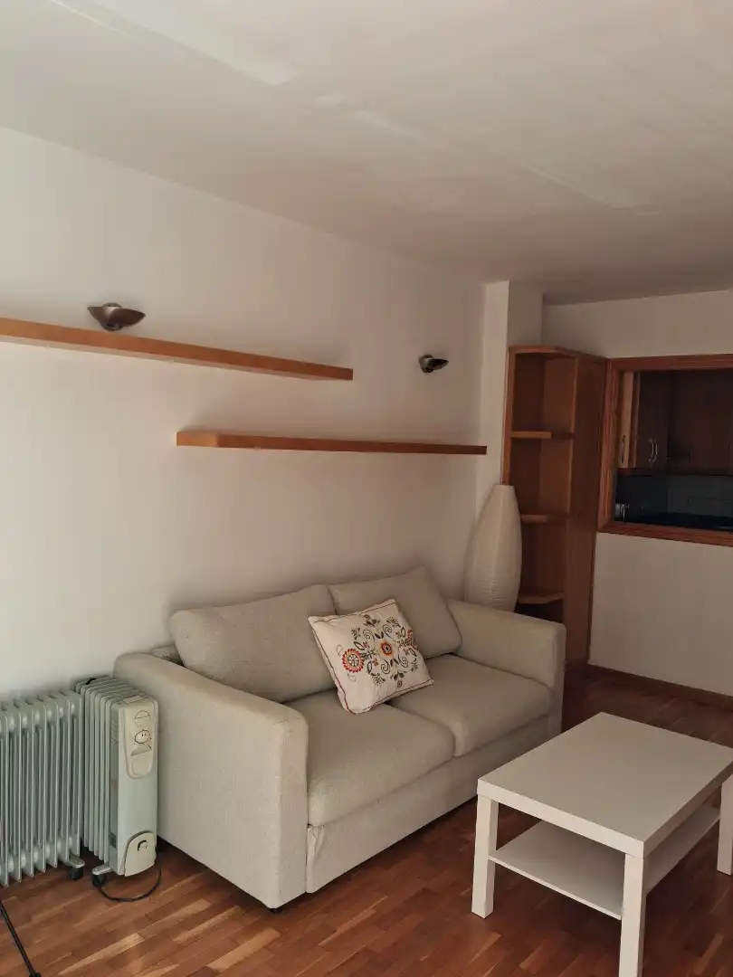 Living room of Apartments for rent in  Palma de Mallorca  with Air Conditioner, Parquet flooring and Furnished