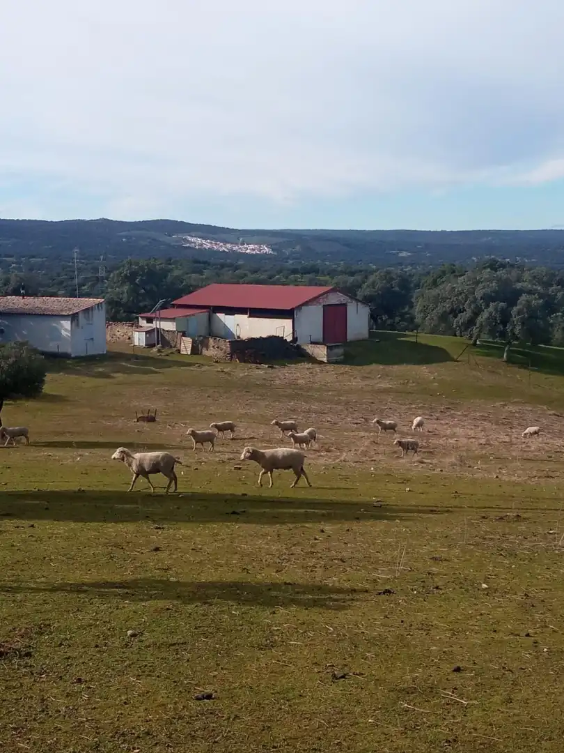 Vista exterior de Finca rústica en venda en Cardeña