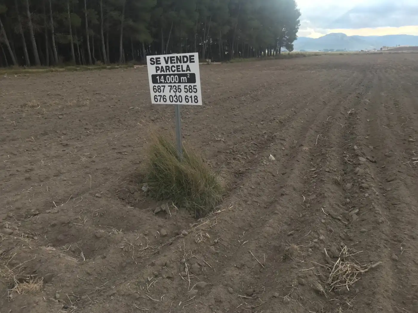 Grundstücke zum Verkauf in Villena