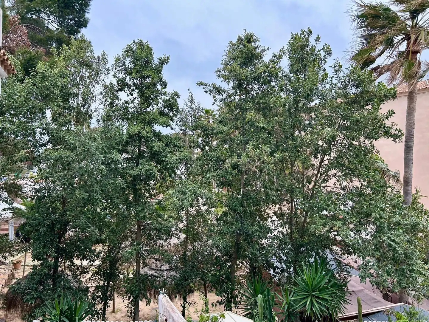 Flat for sale in Colònia Sant Jordi, imagen 17
