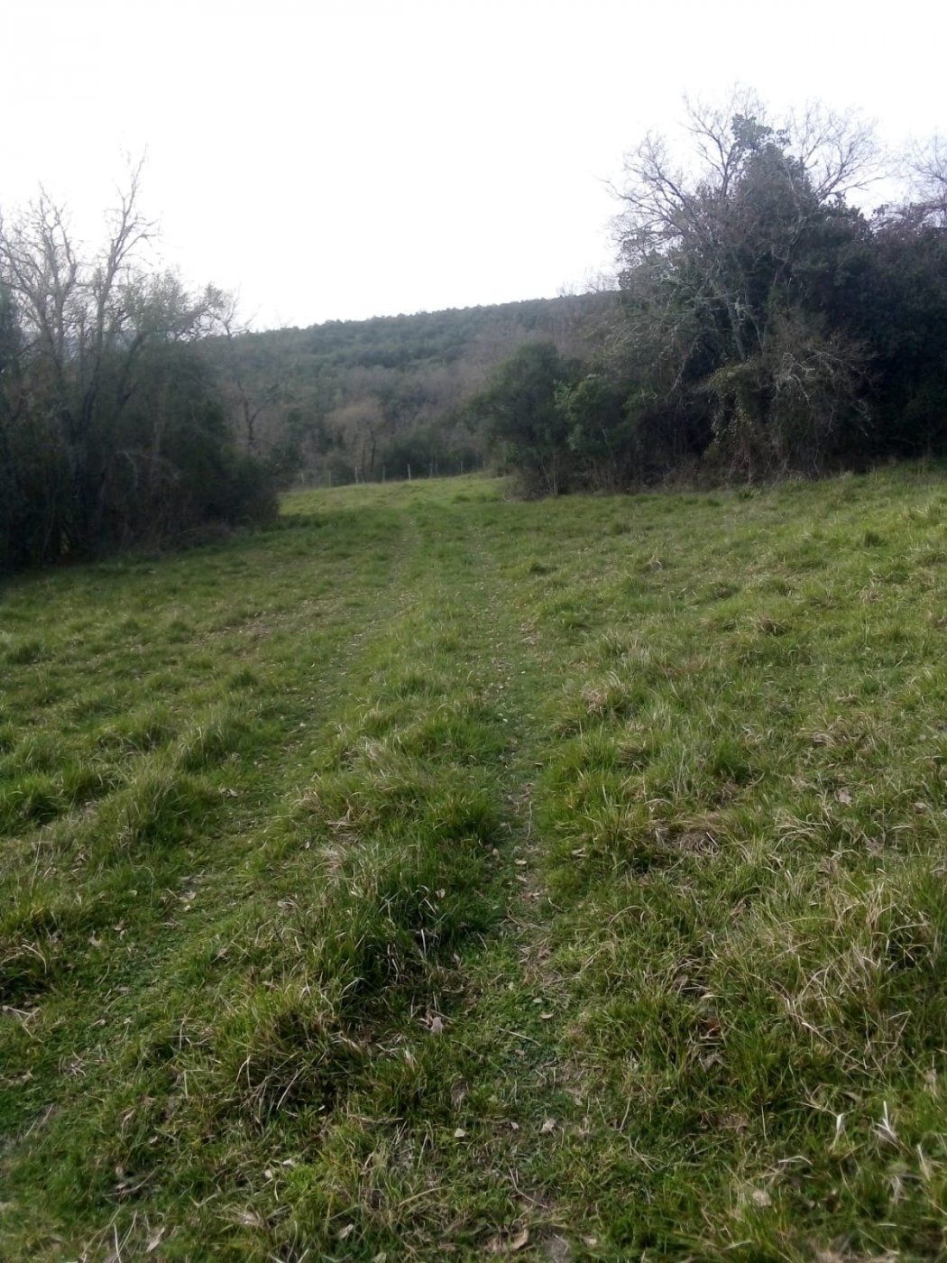 Finca rústica en venda en Valle de Mena