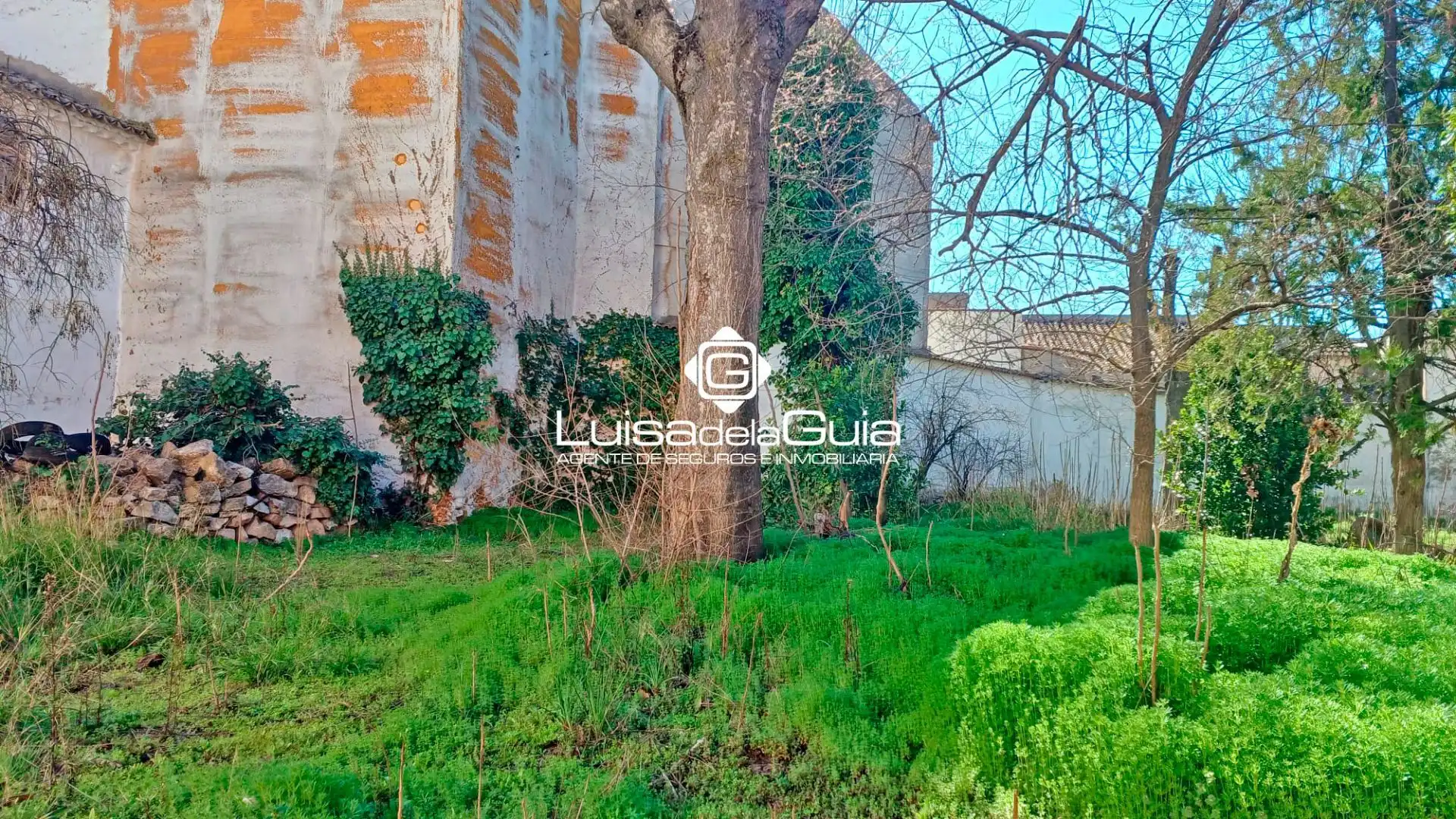 Terreni e lotti in vendita a Campo de Criptana, imagen 5