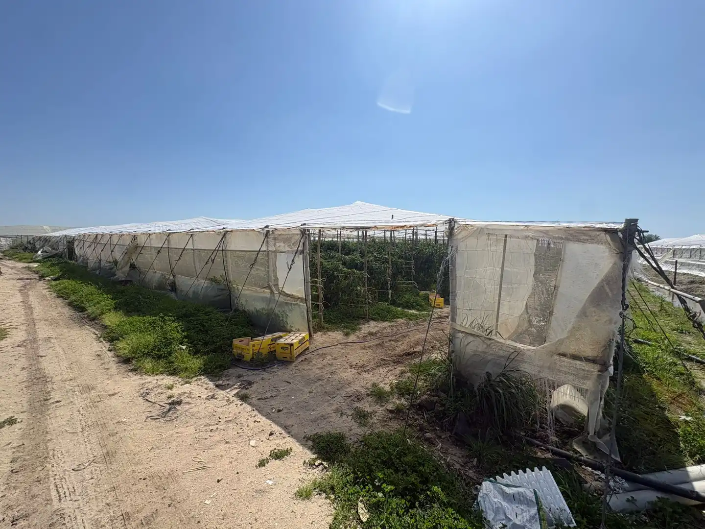 Terreni e lotti in vendita a Chipiona Norte