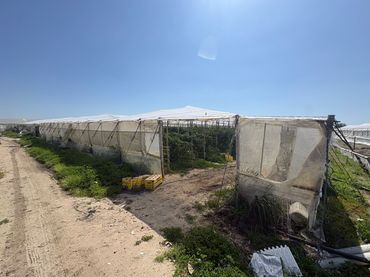 Terreno rustico in vendita a Chipiona Norte