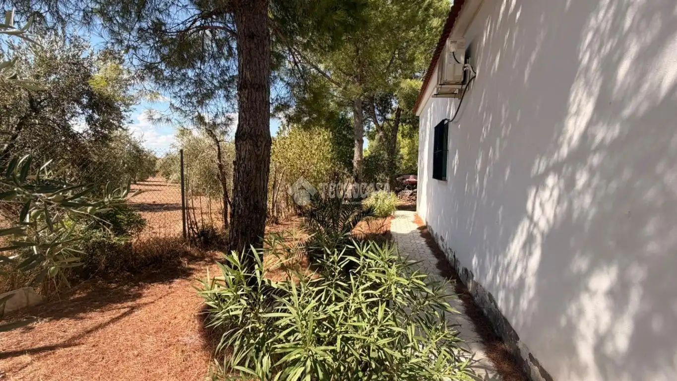 Casa rustica con piscina in vendita a EL ALGARROBO, imagen 9