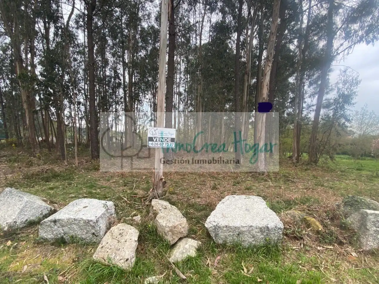 Lands and plots for sale in Salceda de Caselas, imagen 13