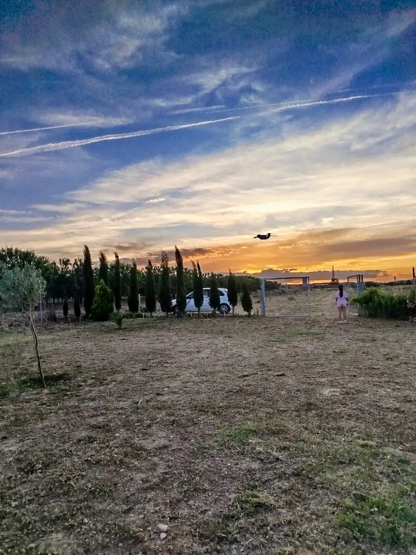 Land for sale in Tudela