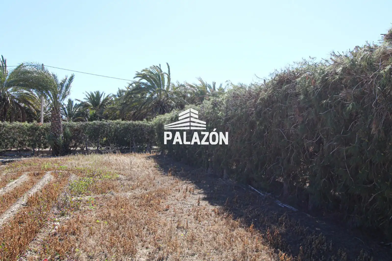 Chalet en venta en Dolores, imagen 33