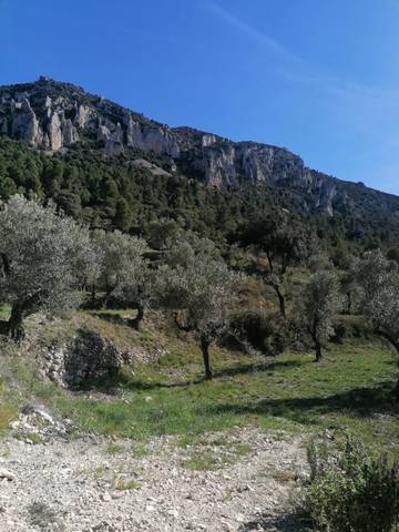Terreno en Venta en Partida Foeta de Carrascal en Quatretondeta