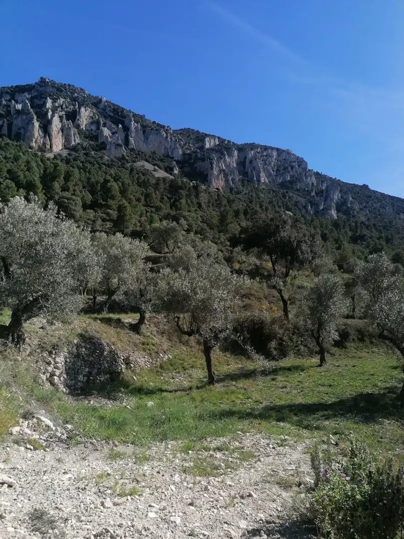 Grundstücke zum Verkauf in Quatretondeta