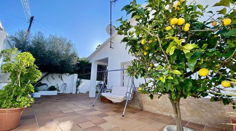 Photo 3 of Detached homes for sale in Liles, La Pobla de Montornès , Tarragona