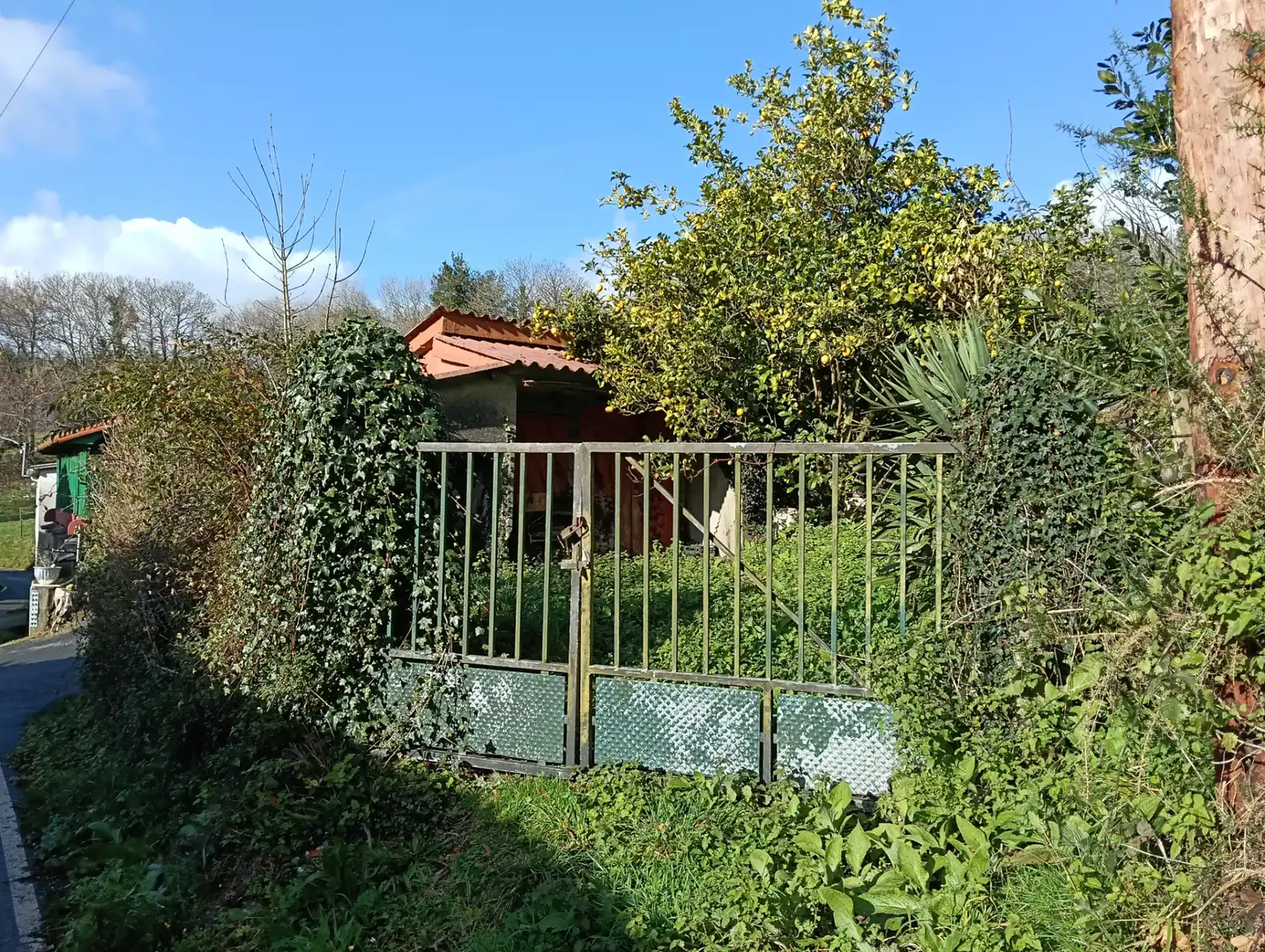 Jardín de Casa o chalet en venta en Cesuras con Jardín privado