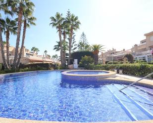 Planta baja to rent in Calle Nicolas de Bussi, Playa Flamenca