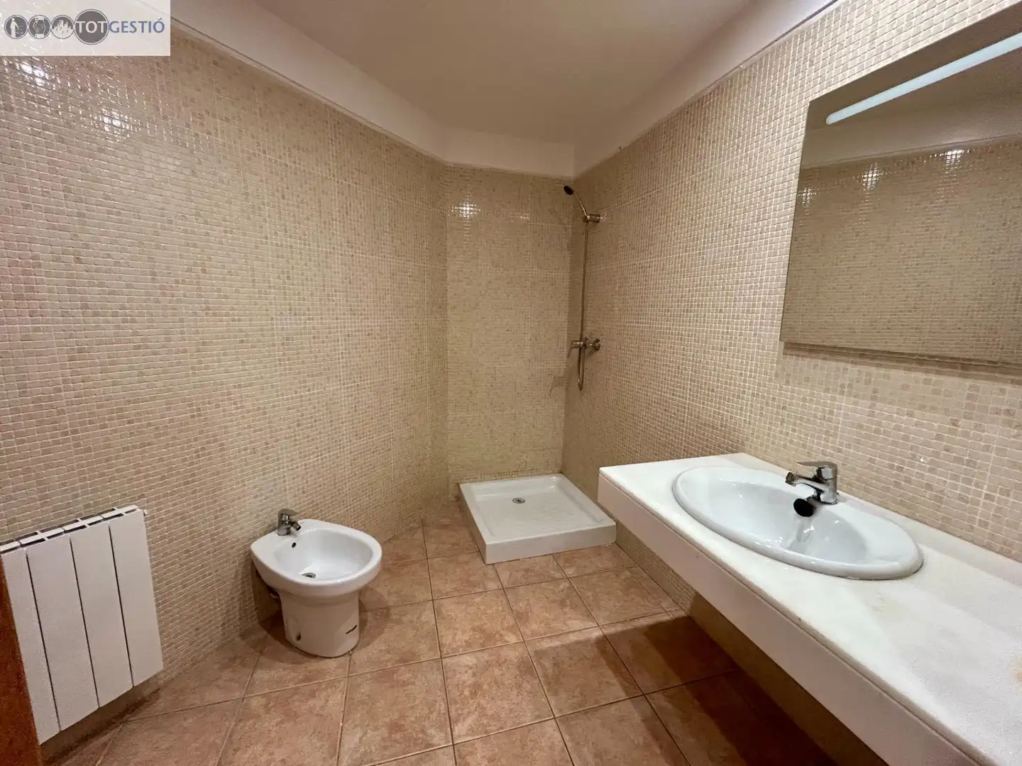 Haus oder Chalet zum Verkauf in Carrer DR RAVENTOS, Sant Hilari Sacalm