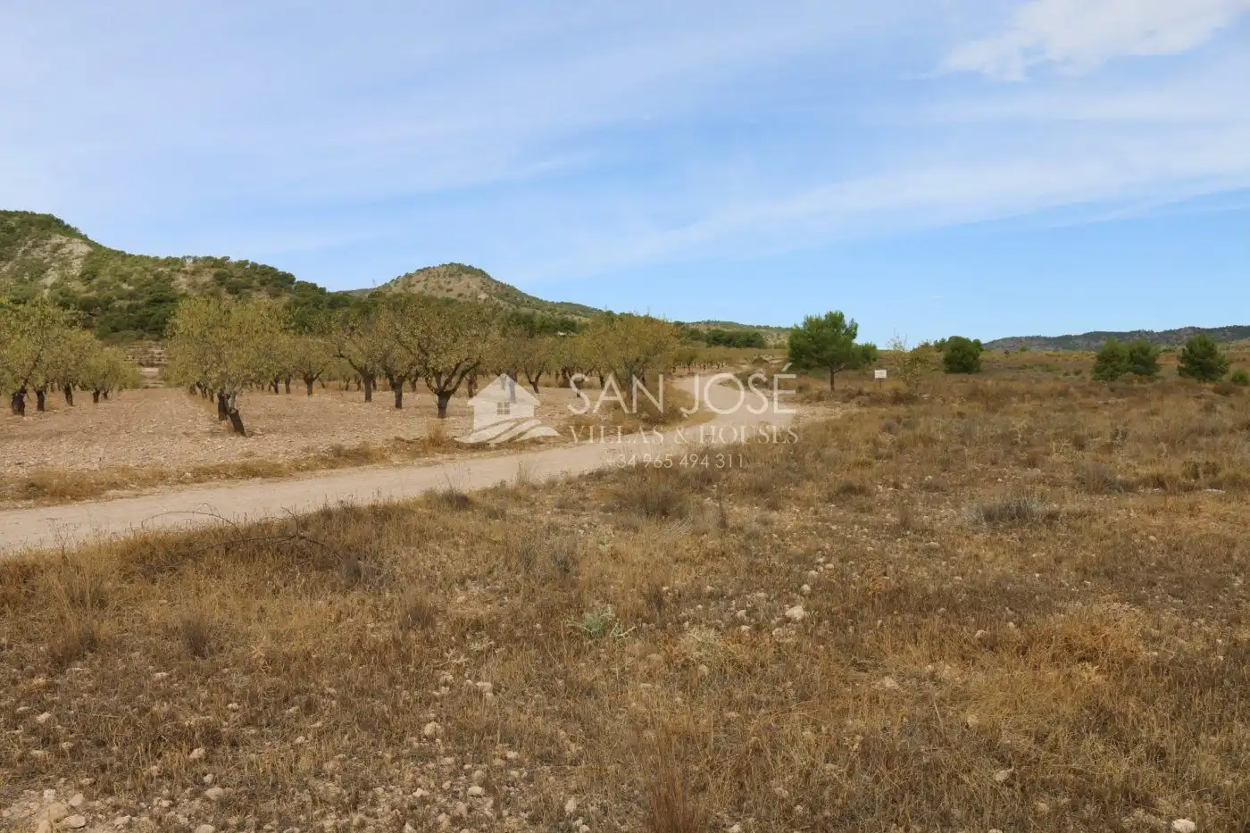 Rustikales Grundstück zum Verkauf in Jumilla, imagen 5