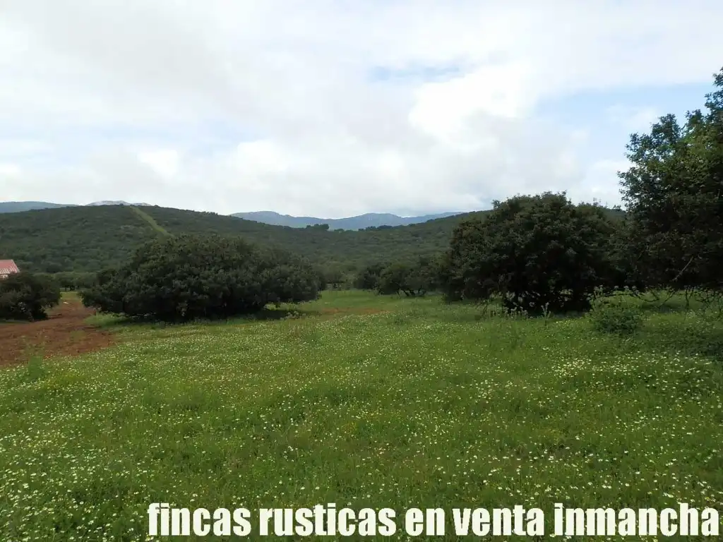 Terreno rústico en venta en Abenójar, imagen 4